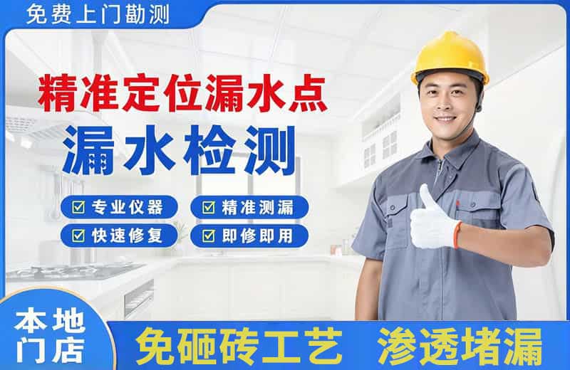 大英精准测漏点